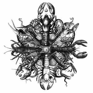 FLAC irr. app. (ext.) - Flux / Crayfish