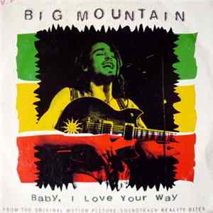 FLAC Big Mountain - Baby, I Love Your Way