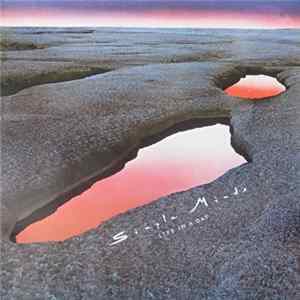 FLAC Simple Minds - Life In A Day