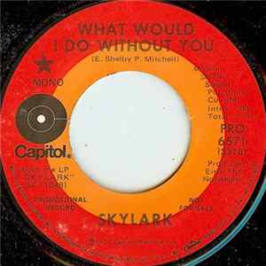 FLAC Skylark - What Would I Do Without You