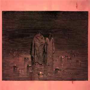 FLAC Discodeine - Extension