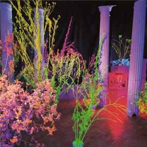FLAC Hüsker Dü - Warehouse: Songs And Stories