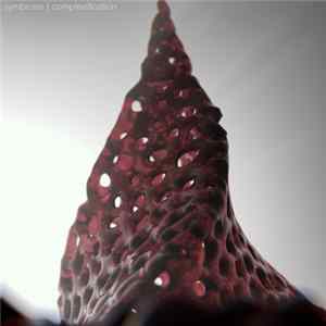 FLAC T.Power - Symbiosis | Complexification