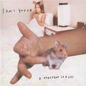 FLAC Sonic Youth - A Thousand Leaves