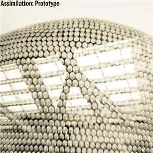 FLAC Assimilation - Prototype