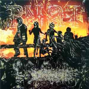 FLAC BNQT - Volume 1