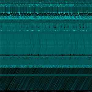 FLAC Eintonmusiker - Im Tierreich Des Salamanders