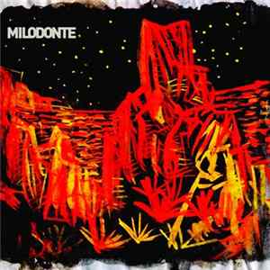 FLAC Milodonte - Subsuelo