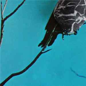 FLAC Tangents - Stateless