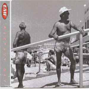 FLAC EMF - Perfect Day