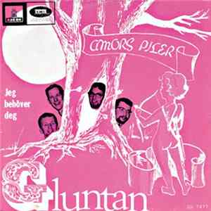 FLAC Gluntan - Amors Piler
