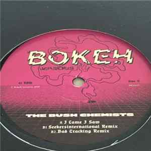 FLAC The Bush Chemists - I Came I Saw
