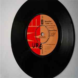 FLAC Berni Flint - Beautiful Loser