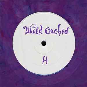 FLAC Wild Orchid - Talk To Me