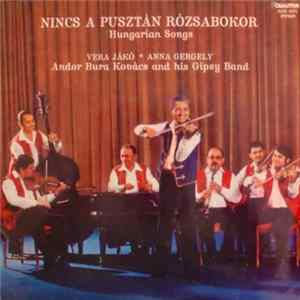 FLAC Andor Bura Kovács And His Gipsy Band, Vera Jákó, Anna Gergely - Nincs A Pusztán Rózsabokor - Hungarian Songs