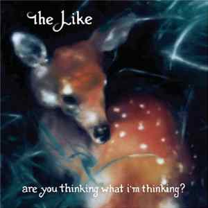 FLAC The Like - Are You Thinking What I'm Thinking?