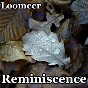 FLAC Loomeer - Ambient Reminiscence Of 2011