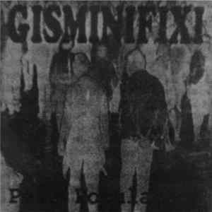 FLAC Gisminifixi - Pela População