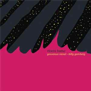 FLAC Billy Gomberg - Gowanus Canal