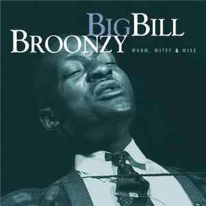 FLAC Big Bill Broonzy - Warm, Witty, And Wise