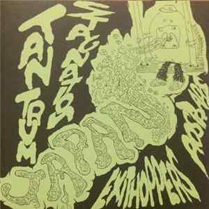 FLAC Various - Noise Circus From Japan