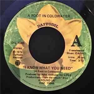 FLAC A Foot In Coldwater - I Know What You Need