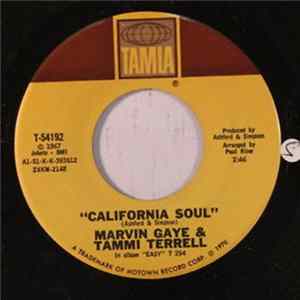 FLAC Marvin Gaye & Tammi Terrell - The Onion Song / California Soul