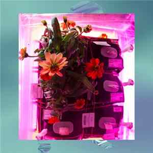 FLAC Eric Stratos - Neo Synthesis