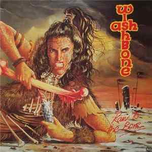 FLAC Wishbone Ash - Raw To The Bone