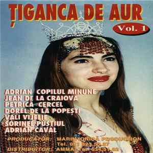 FLAC Various - Țiganca De Aur Vol. 1