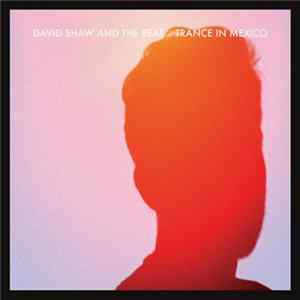 FLAC David Shaw And The Beat - Trance In Mexico