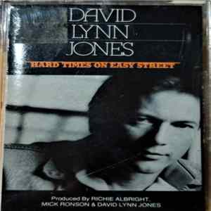 FLAC David Lynn Jones - Hard Times On Easy Street