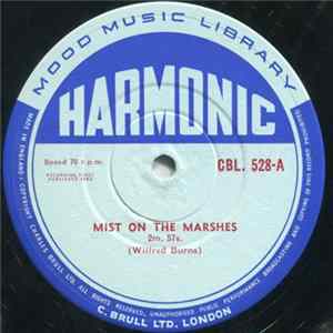 FLAC Unknown Artist - Mist On The Marshes / Village Mood