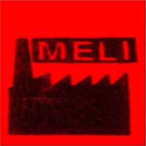 FLAC M.E.L.I. - Live In Santa María