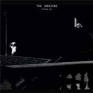 FLAC The Amazing - Picture You
