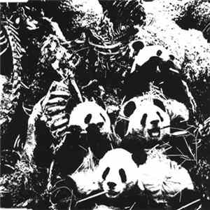 FLAC Mon Autre Groupe - Le Déclin