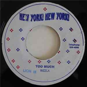 FLAC Sizzla - Too Much