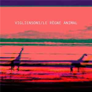FLAC Gabriel Vigliensoni - Le Règne Animal