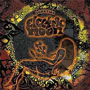 FLAC Electric Moon - Lunatics
