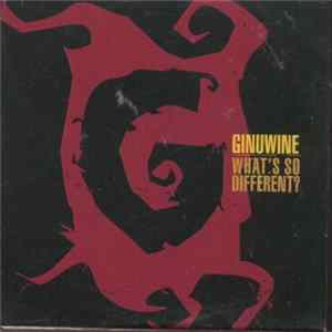 FLAC Ginuwine - What’s So Different?