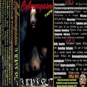 FLAC Various - Cyberorgasm