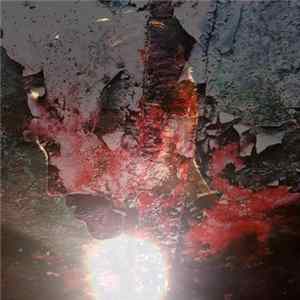 FLAC Bootblacks - Veins