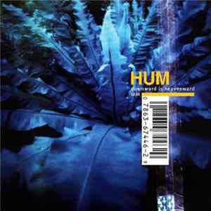FLAC Hum - Downward Is Heavenward