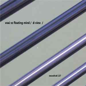 FLAC Voai VS Floating Mind - D-View