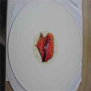 FLAC Hardkiss - The Phoenix