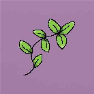 FLAC Pink Navel - BESTMORNING