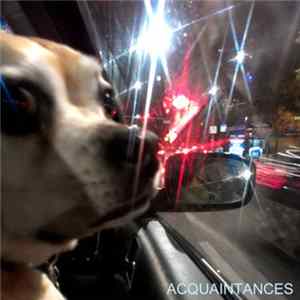 FLAC Acquaintances - Skin