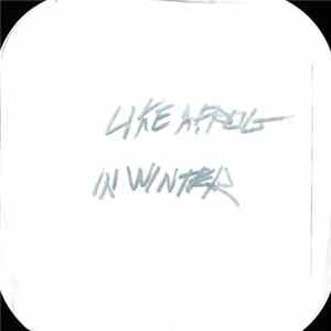 FLAC Various - Like A Frog In Winter