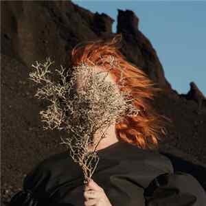 FLAC Goldfrapp - Silver Eye