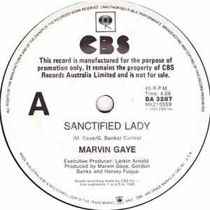 FLAC Marvin Gaye - Sanctified Lady